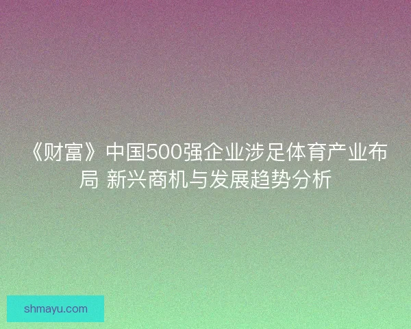 《财富》中国500强企业涉足体育产业布局 新兴商机与发展趋势分析